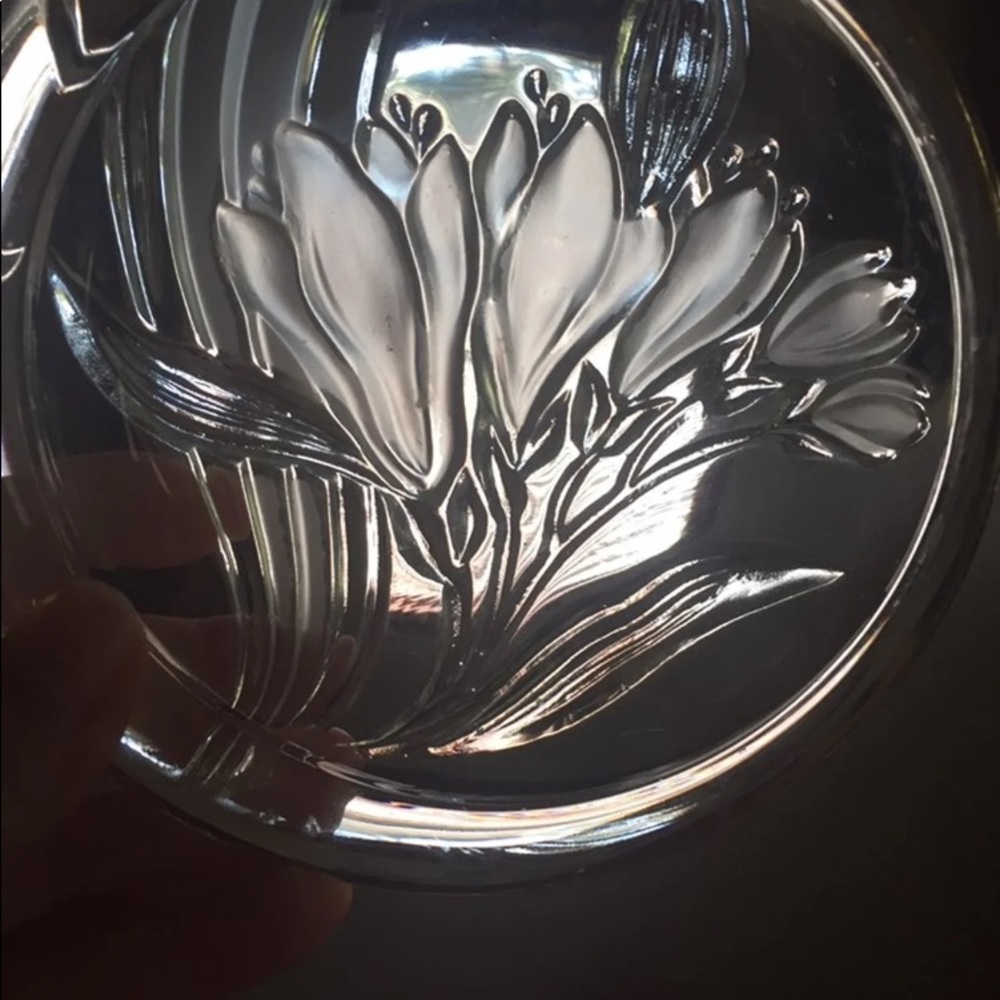 Dish - Picture 4 of 4